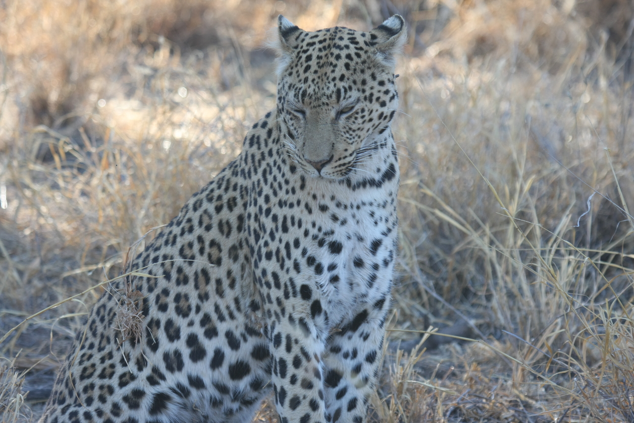 [2738] 2016_06_22_11_02_22_Africa_Canon_EOS_40D_IMG__00602.jpg