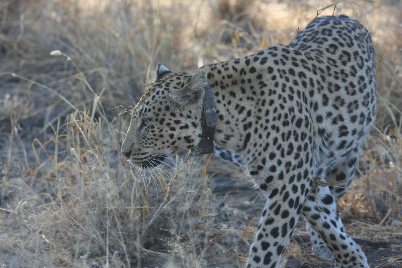 [2770] 2016_06_22_11_02_42_Africa_Canon_EOS_40D_IMG__00612.jpg