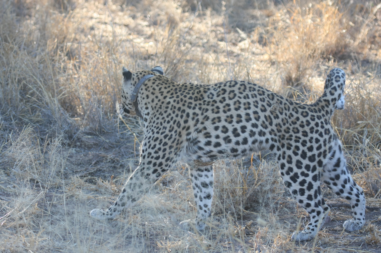 [2780] 2016_06_22_11_02_45_Africa_Canon_EOS_40D_IMG__00614.jpg