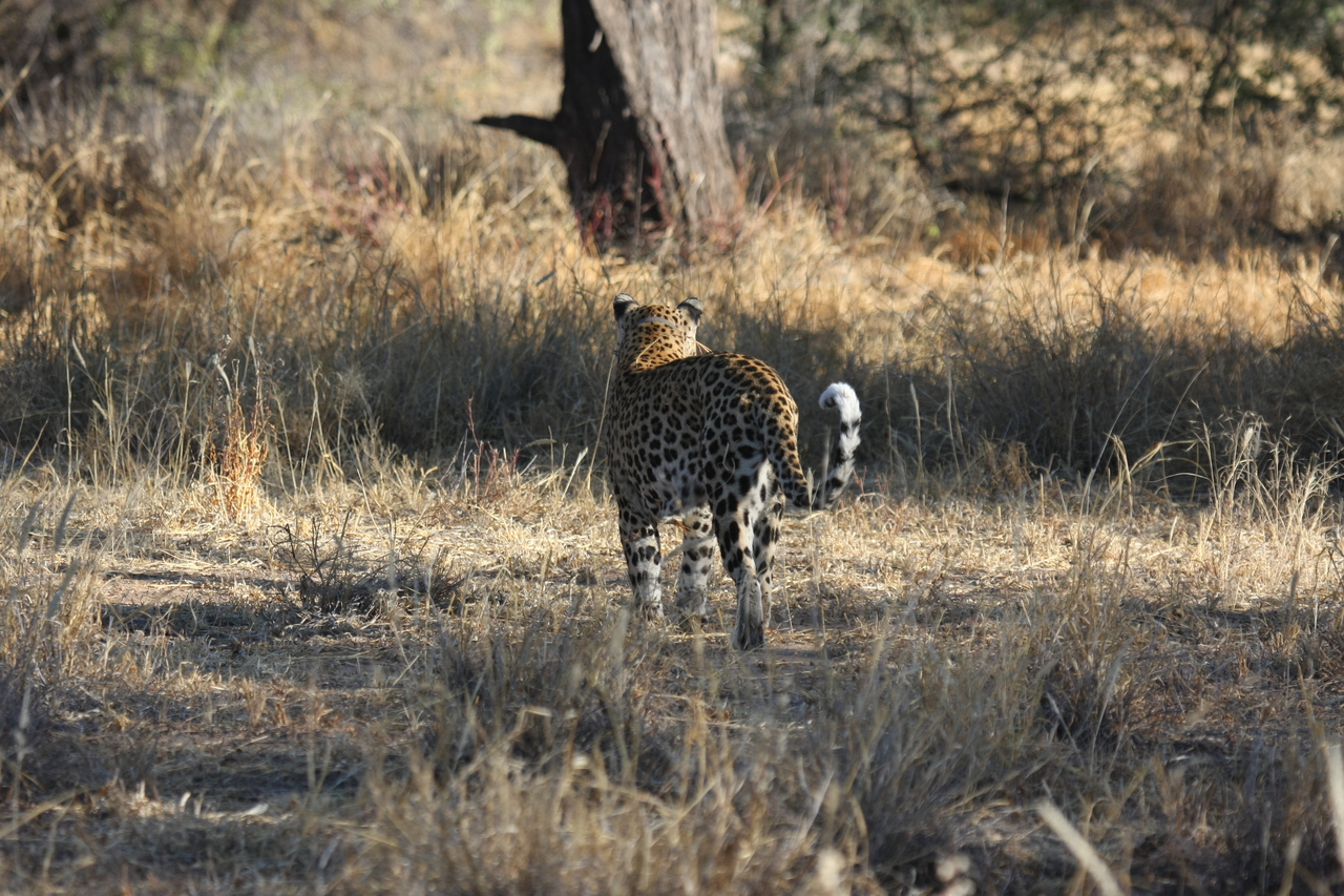 [2820] 2016_06_22_11_03_33_Africa_Canon_EOS_40D_IMG__08074.jpg
