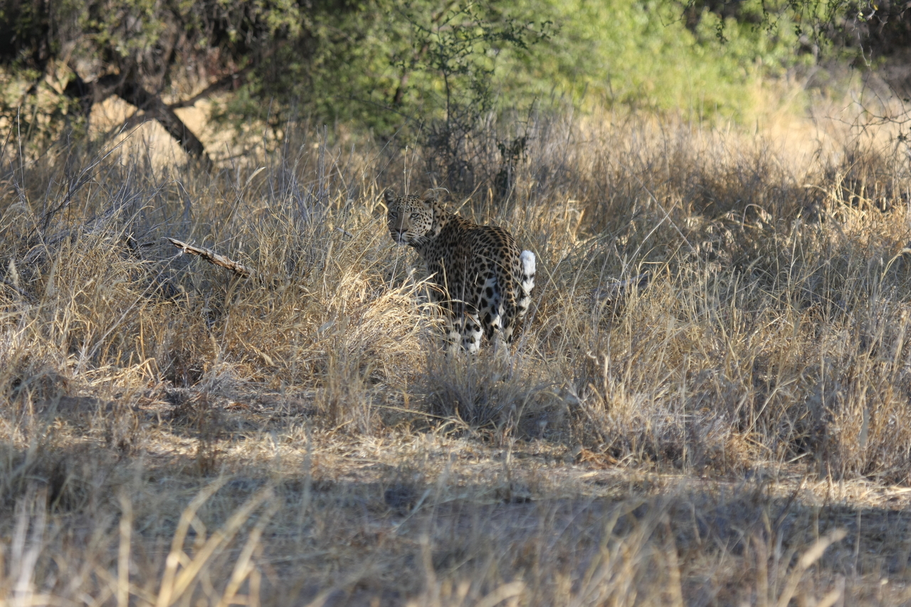 [2838] 2016_06_22_11_04_00_Africa_Canon_EOS_40D_IMG__00634.jpg