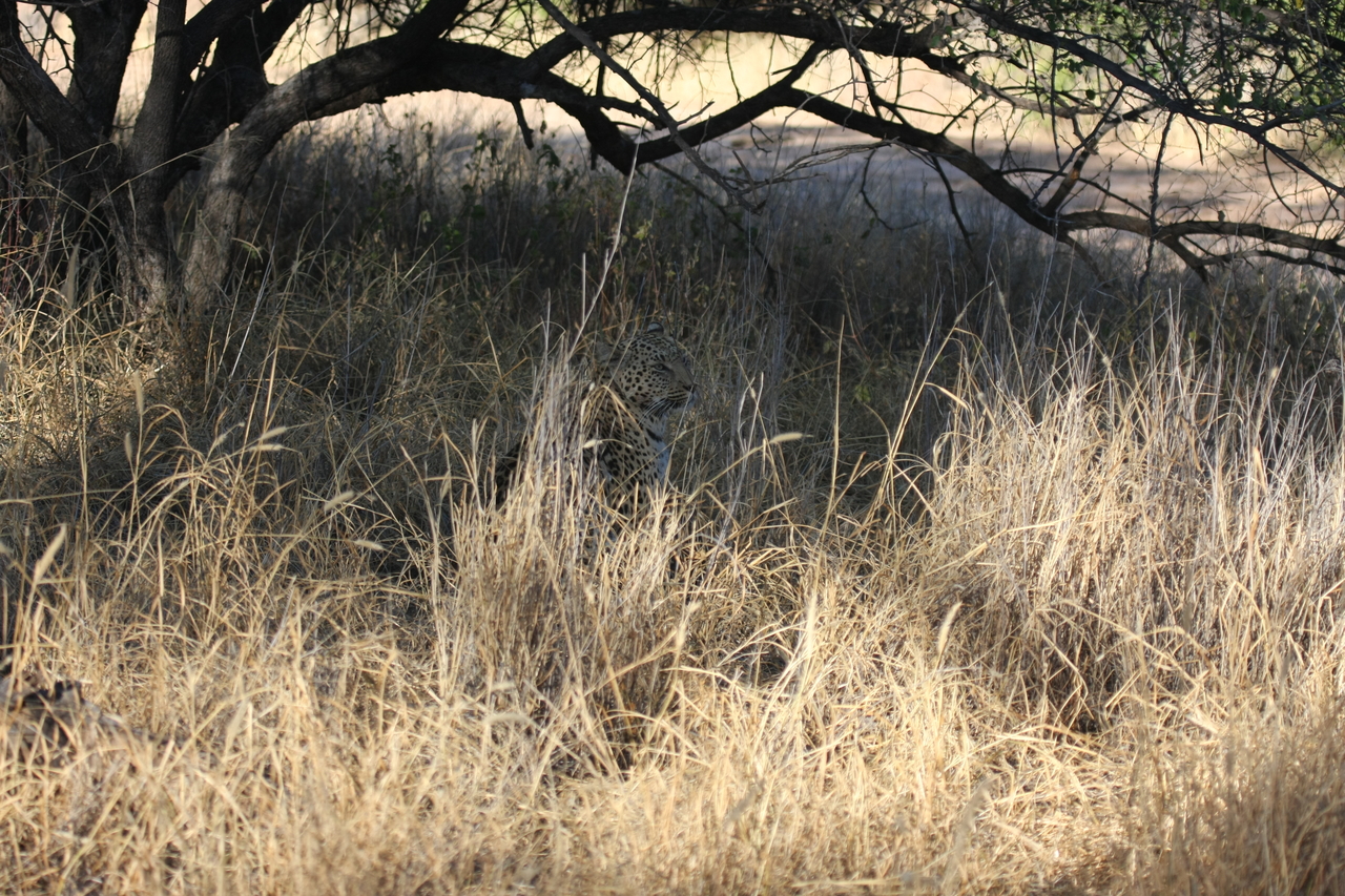 [2903] 2016_06_22_11_06_17_Africa_Canon_EOS_40D_IMG__00655.jpg