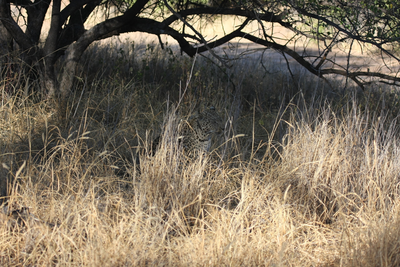 [2906] 2016_06_22_11_06_18_Africa_Canon_EOS_40D_IMG__00656.jpg