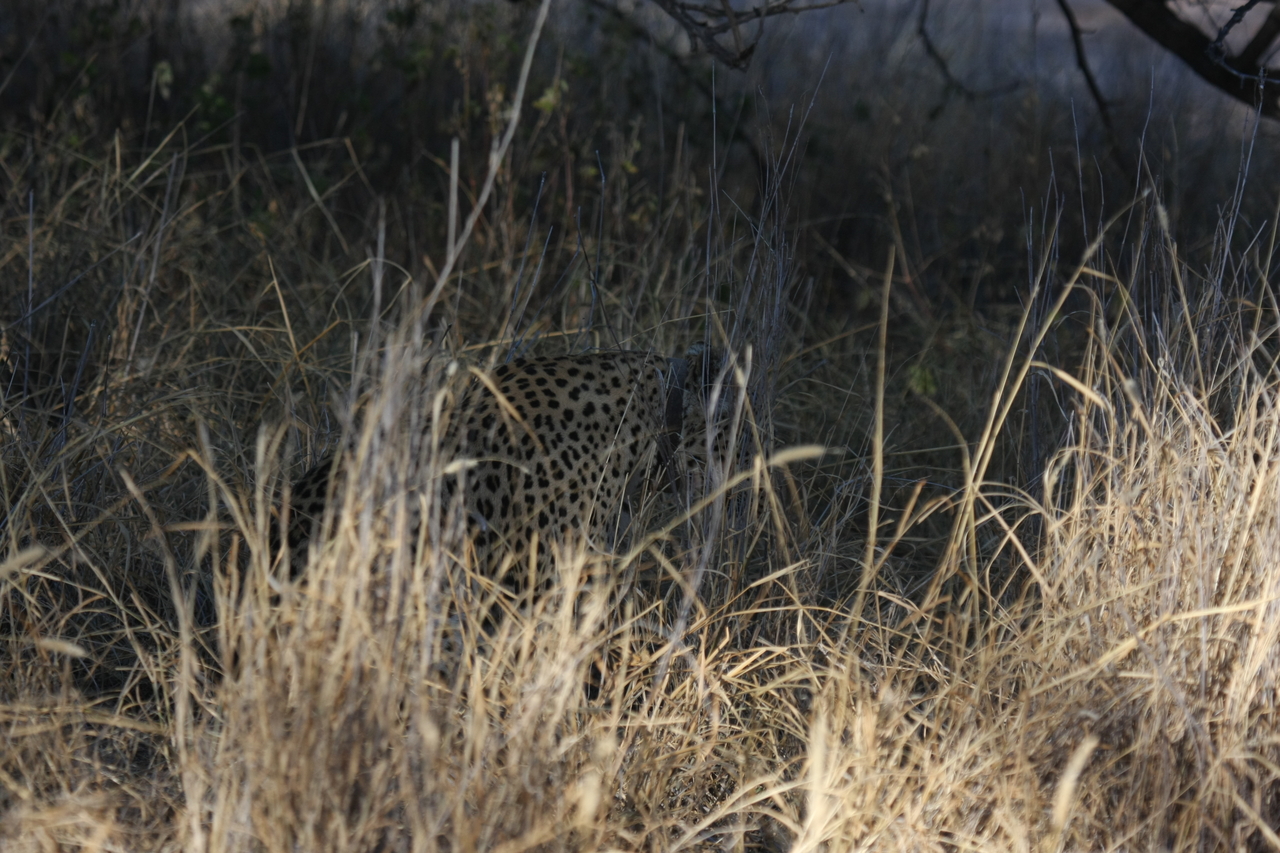[2908] 2016_06_22_11_06_22_Africa_Canon_EOS_40D_IMG__00638.jpg