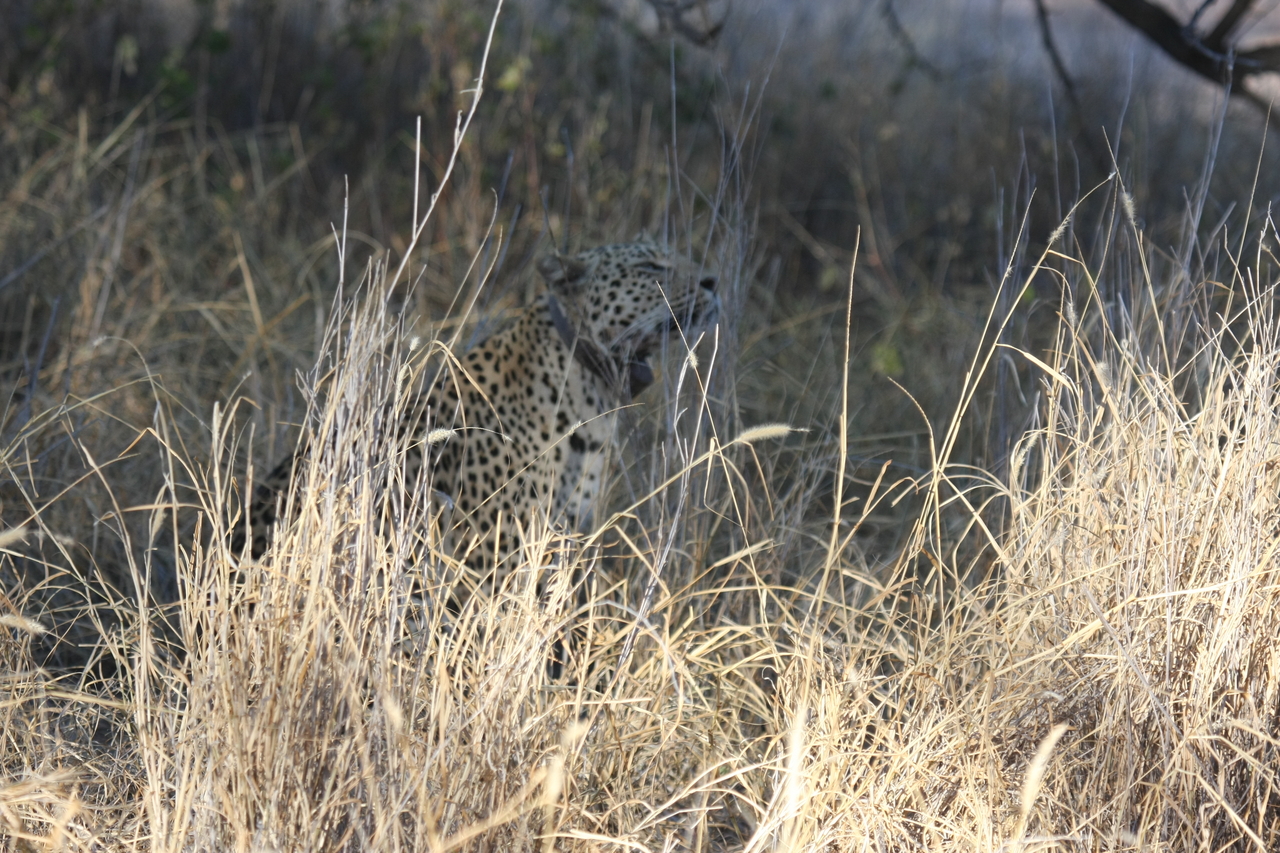 [2918] 2016_06_22_11_06_25_Africa_Canon_EOS_40D_IMG__08106.jpg