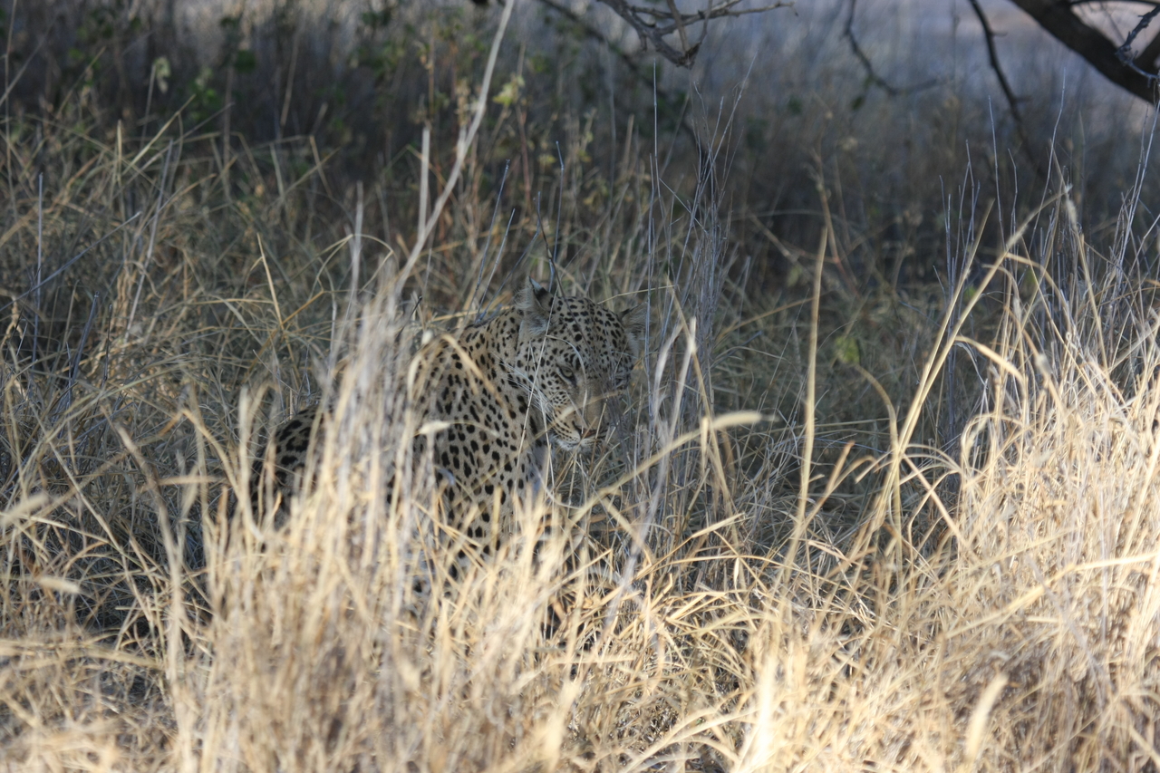 [2920] 2016_06_22_11_06_26_Africa_Canon_EOS_40D_IMG__00642.jpg