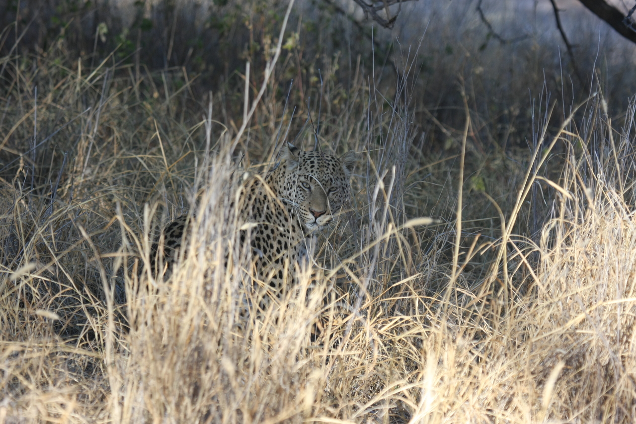 [2923] 2016_06_22_11_06_26_Africa_Canon_EOS_40D_IMG__00662.jpg