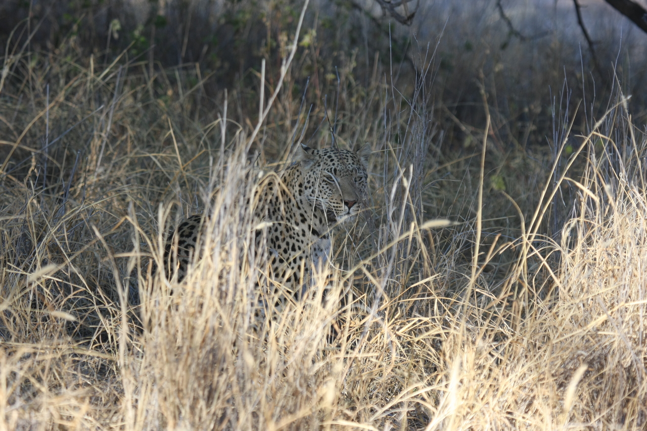 [2926] 2016_06_22_11_06_27_Africa_Canon_EOS_40D_IMG__00644.jpg