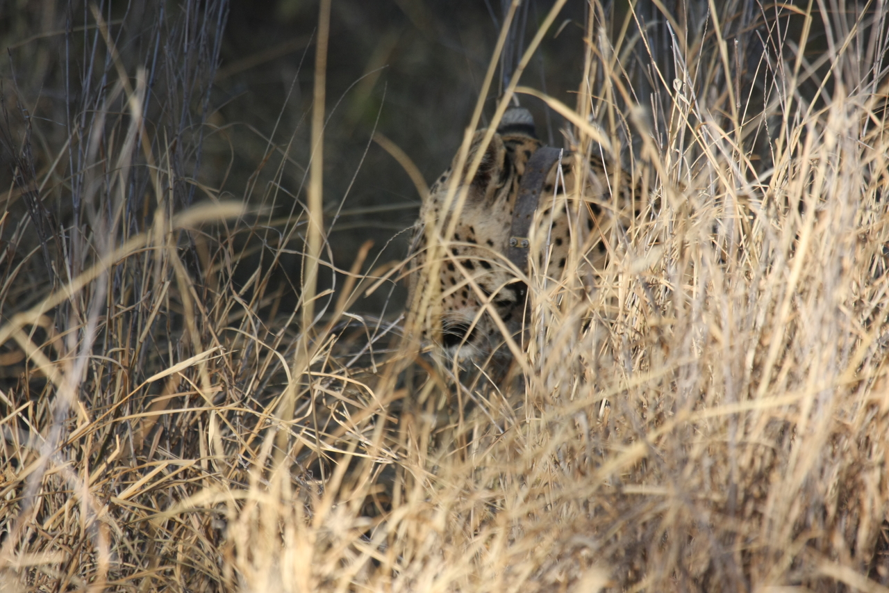 [2945] 2016_06_22_11_07_31_Africa_Canon_EOS_40D_IMG__00651.jpg