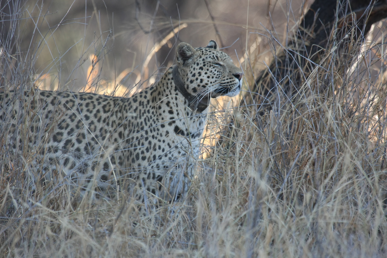 [2979] 2016_06_22_11_11_25_Africa_Canon_EOS_40D_IMG__00677.jpg