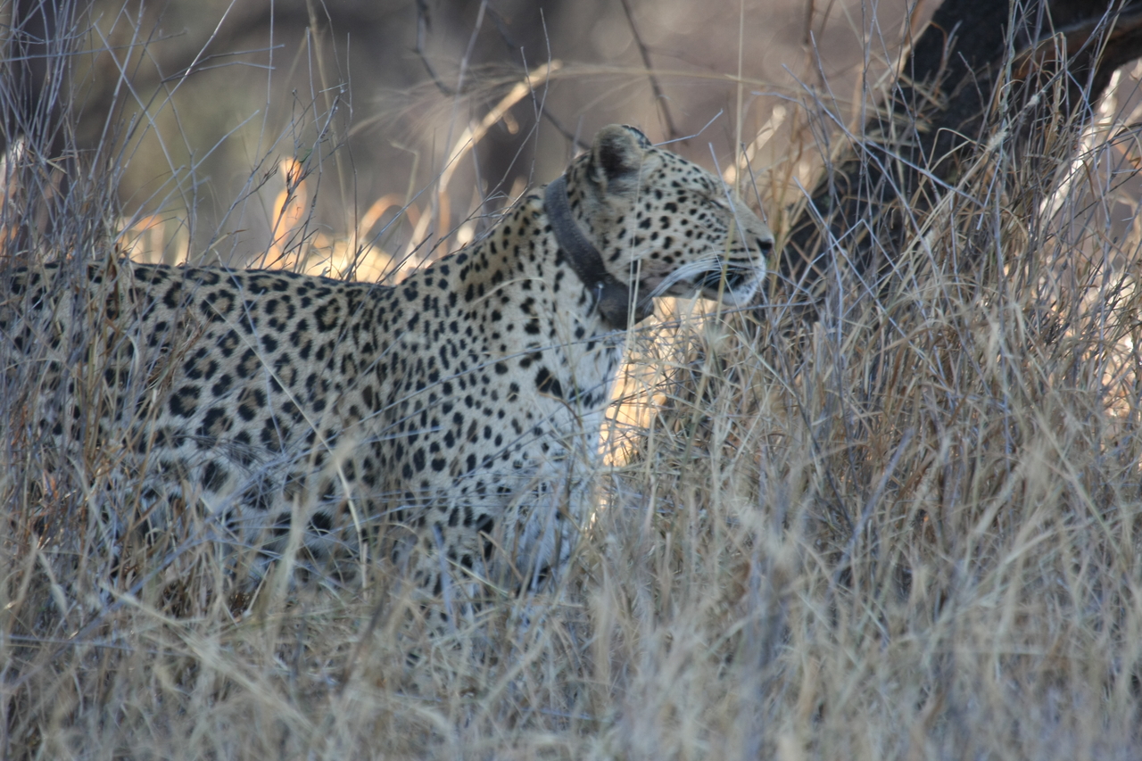 [2980] 2016_06_22_11_11_25_Africa_Canon_EOS_40D_IMG__00678.jpg