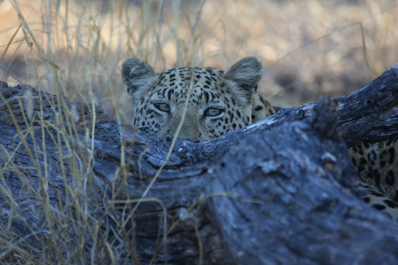 [3020] 2016_06_22_11_18_33_Africa_Canon_EOS_40D_IMG__08134.jpg