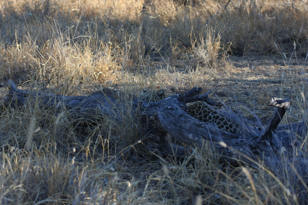 [3036] 2016_06_22_11_18_56_Africa_Canon_EOS_40D_IMG__00694.jpg