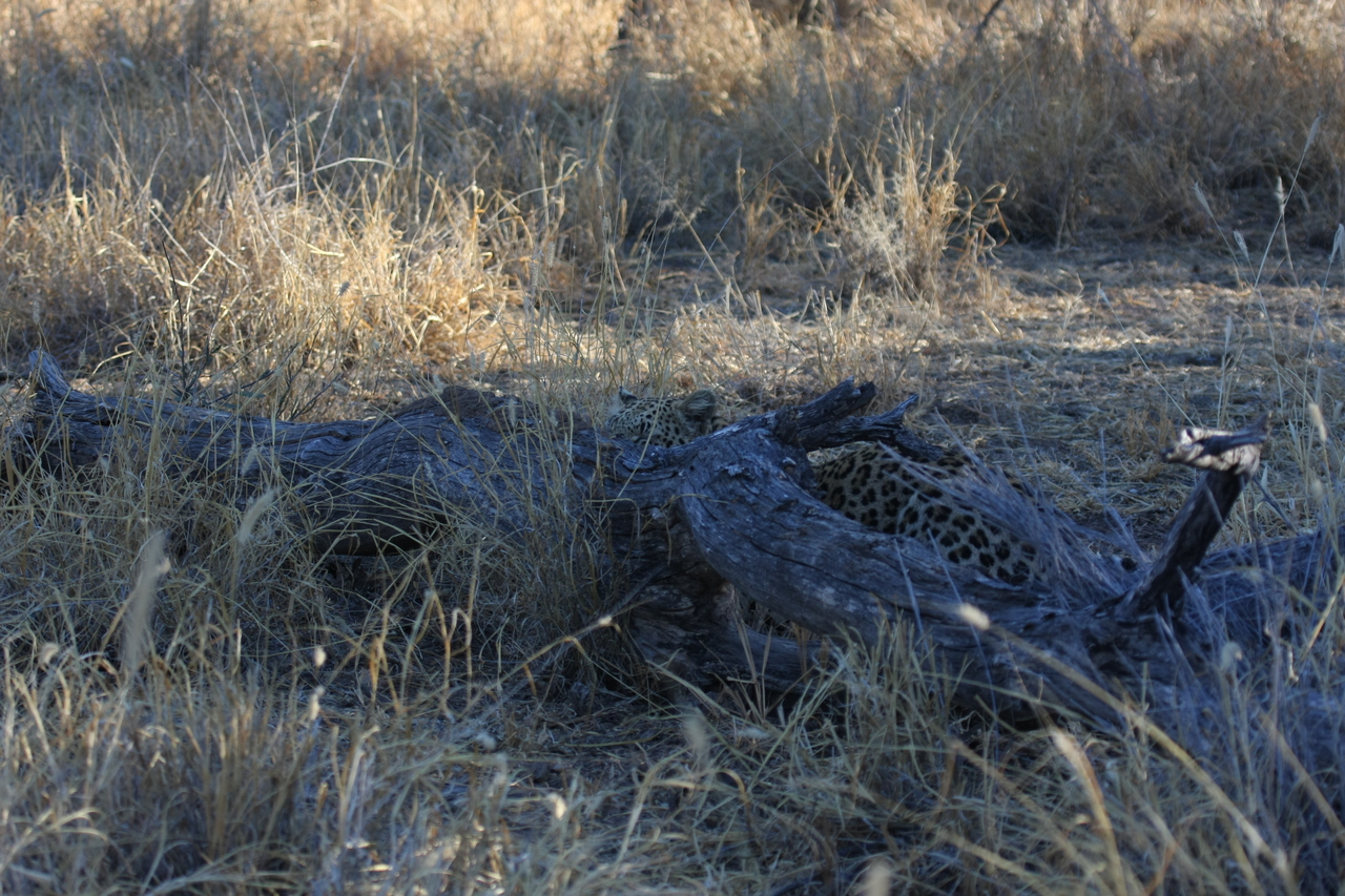 [3038] 2016_06_22_11_18_56_Africa_Canon_EOS_40D_IMG__08140.jpg