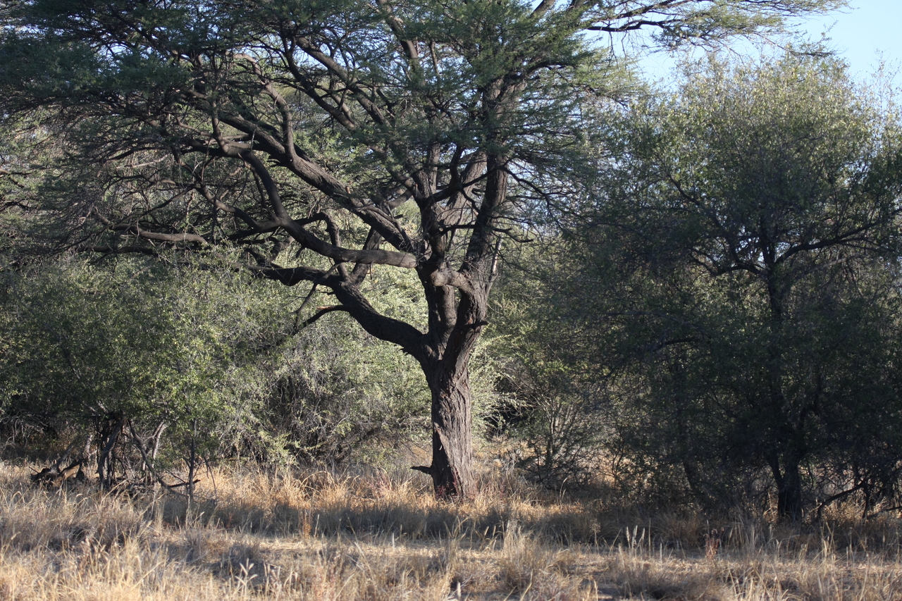[3042] 2016_06_22_11_20_13_Africa_Canon_EOS_40D_IMG__00696.jpg