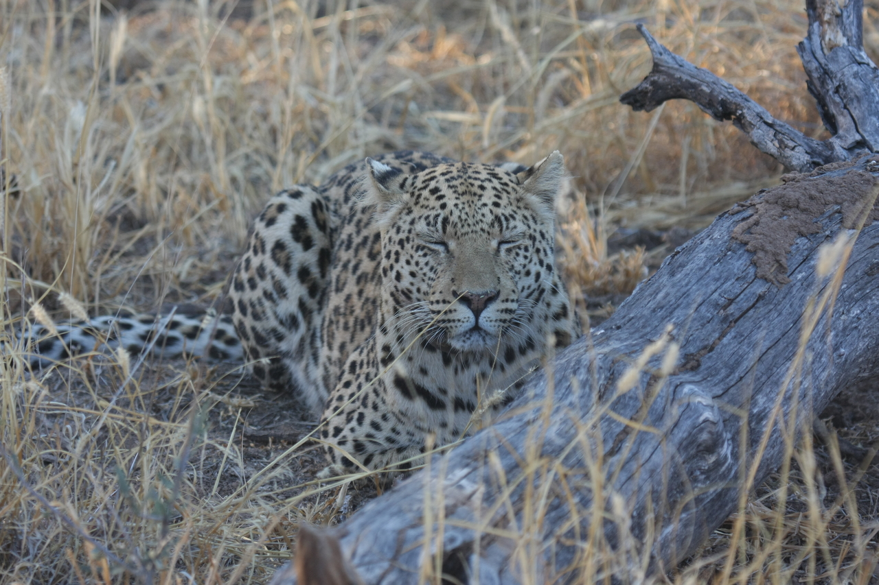 [3050] 2016_06_22_11_22_23_Africa_Canon_EOS_40D_IMG__08144.jpg