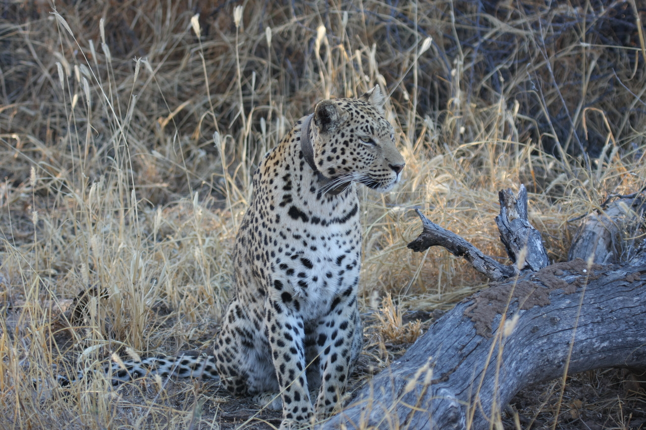 [3102] 2016_06_22_11_22_47_Africa_Canon_EOS_40D_IMG__00696.jpg