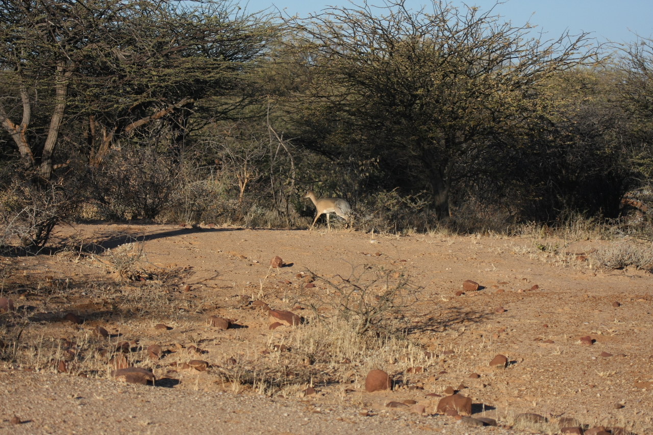 [3257] 2016_06_22_11_32_09_Africa_Canon_EOS_40D_IMG__00759.jpg