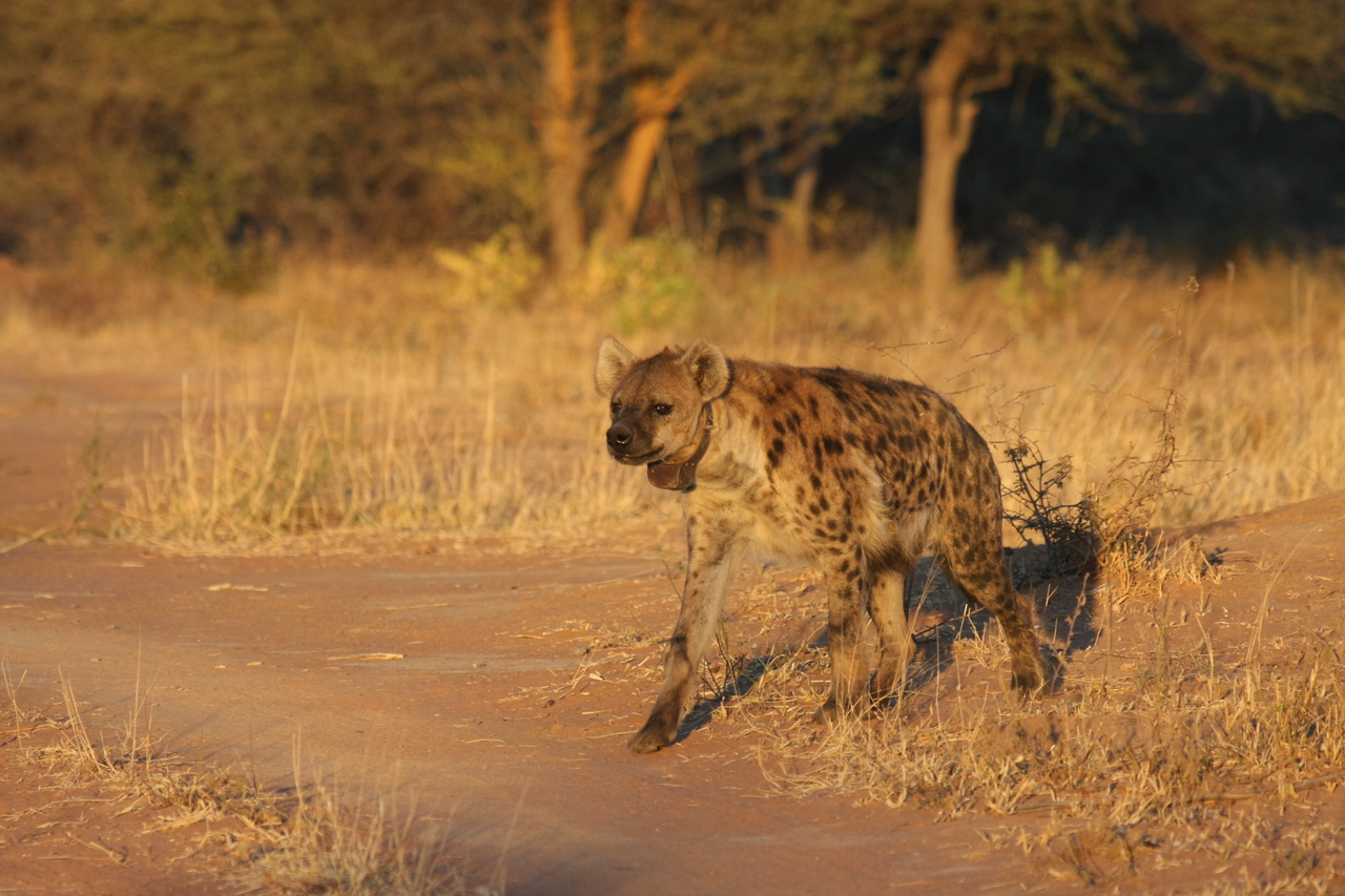 [3297] 2016_06_22_12_04_53_Africa_Canon_EOS_40D_IMG__08215.jpg