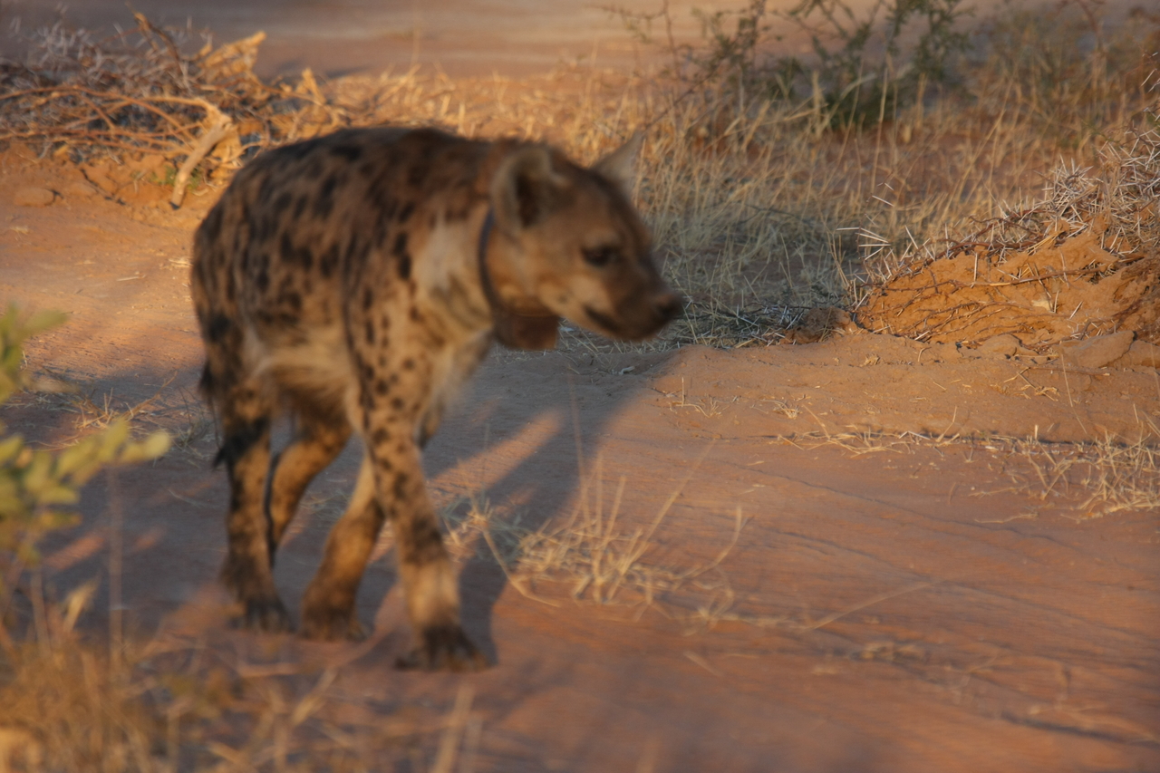 [3301] 2016_06_22_12_05_11_Africa_Canon_EOS_40D_IMG__00753.jpg