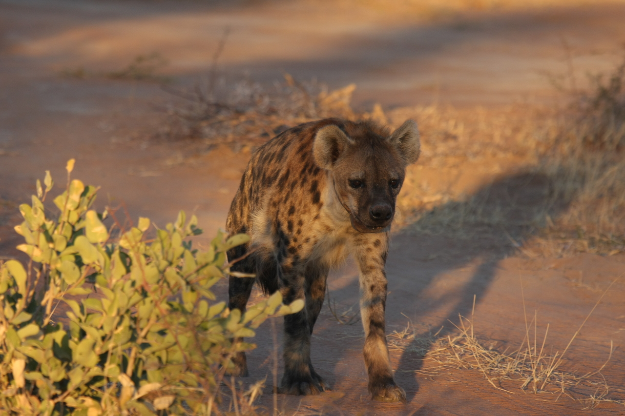 [3302] 2016_06_22_12_05_11_Africa_Canon_EOS_40D_IMG__00770.jpg