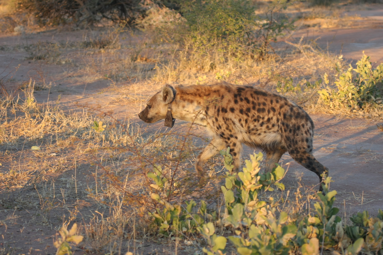 [3346] 2016_06_22_12_05_49_Africa_Canon_EOS_40D_IMG__08232.jpg