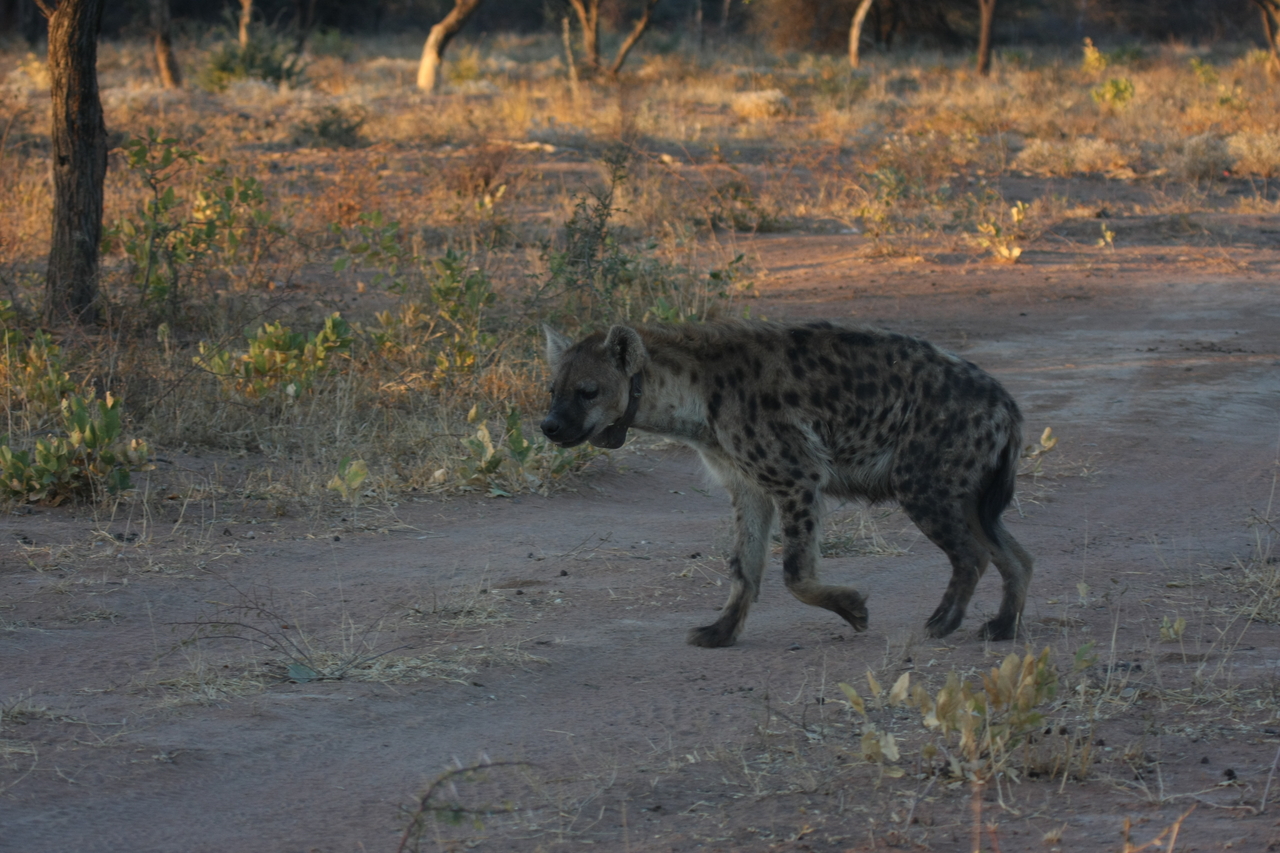 [3357] 2016_06_22_12_06_02_Africa_Canon_EOS_40D_IMG__00771.jpg