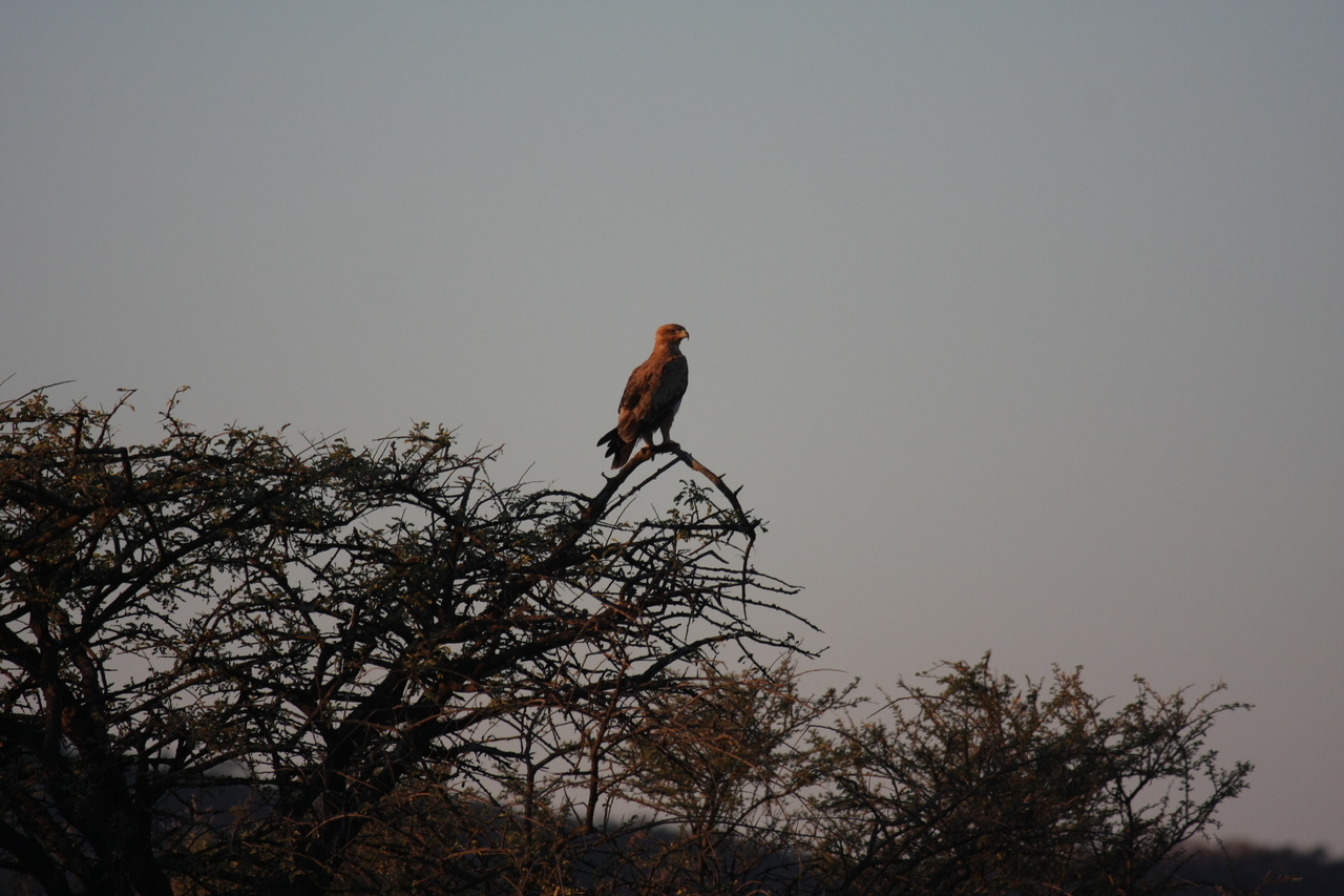 [3377] 2016_06_22_12_07_28_Africa_Canon_EOS_40D_IMG__00777.jpg