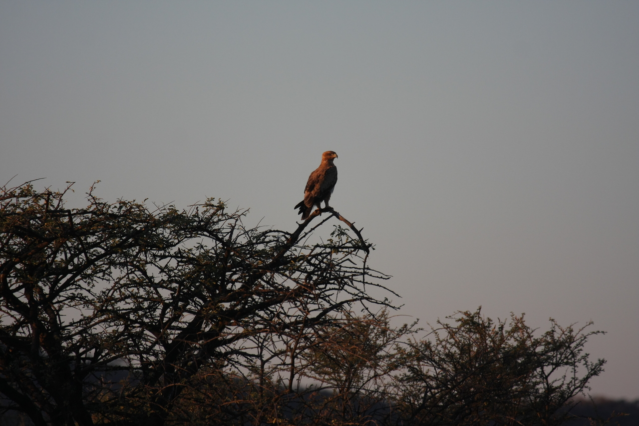 [3379] 2016_06_22_12_07_28_Africa_Canon_EOS_40D_IMG__00779.jpg