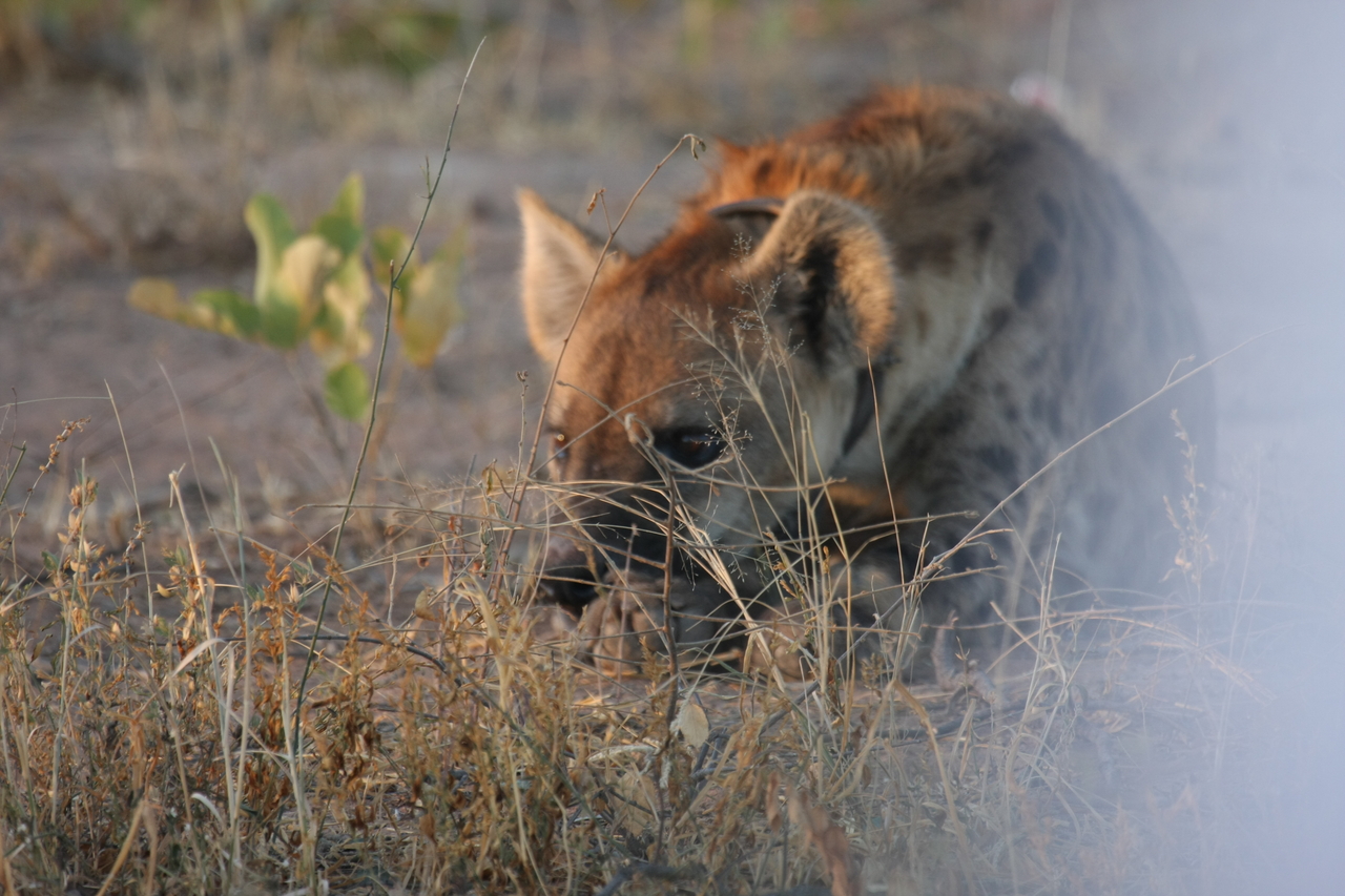 [3386] 2016_06_22_12_07_47_Africa_Canon_EOS_40D_IMG__00780.jpg
