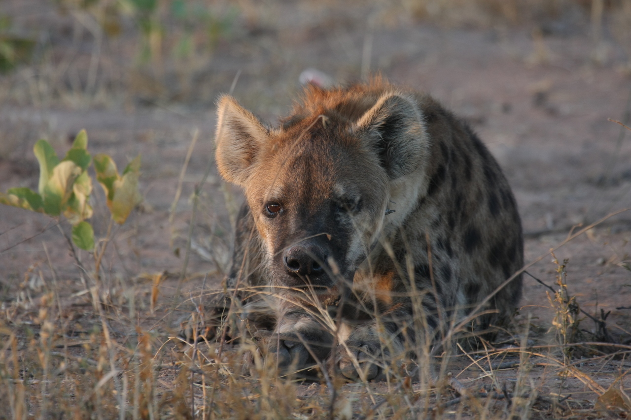 [3409] 2016_06_22_12_08_12_Africa_Canon_EOS_40D_IMG__08253.jpg