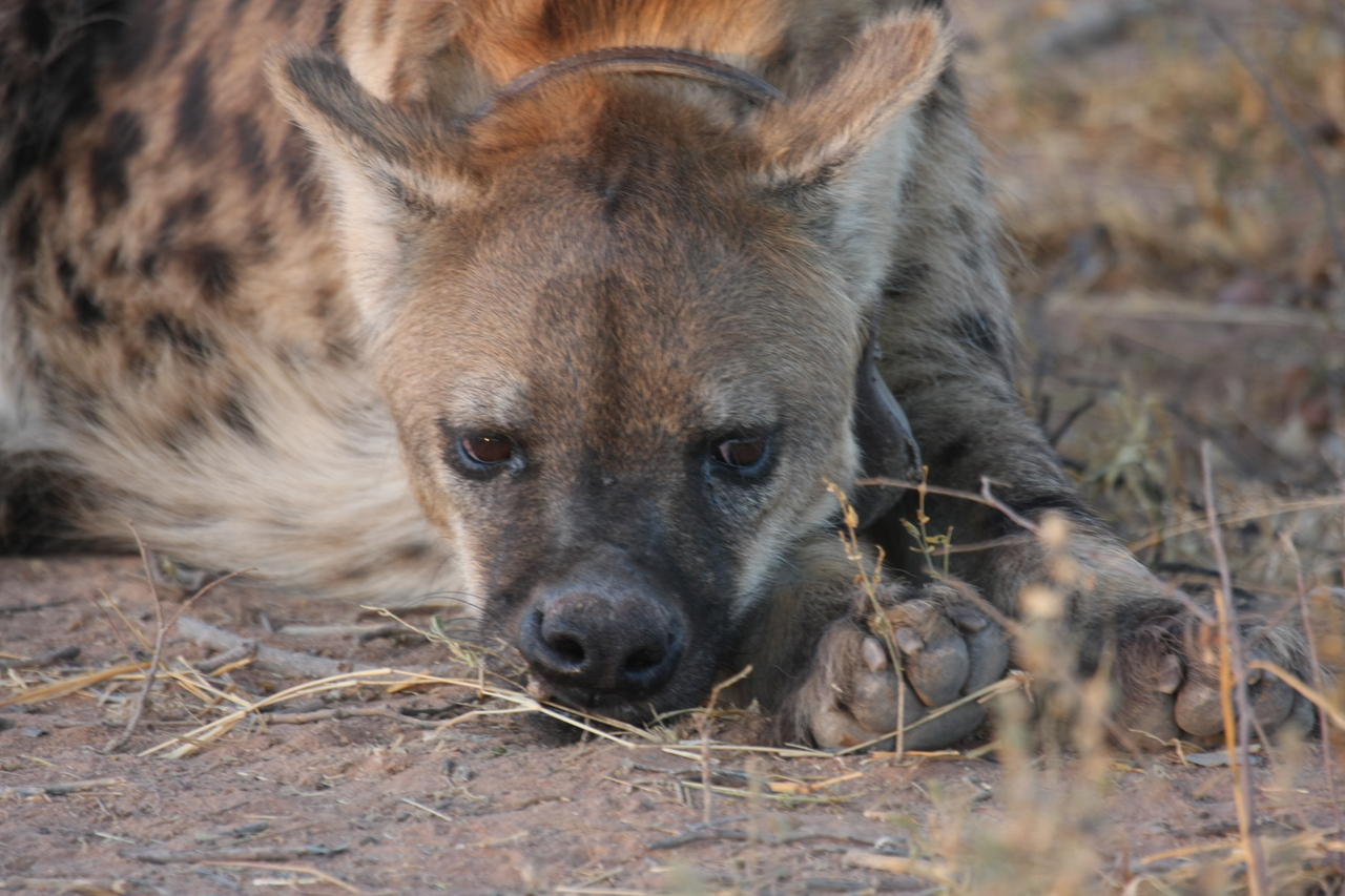 [3429] 2016_06_22_12_08_52_Africa_Canon_EOS_40D_IMG__00795.jpg