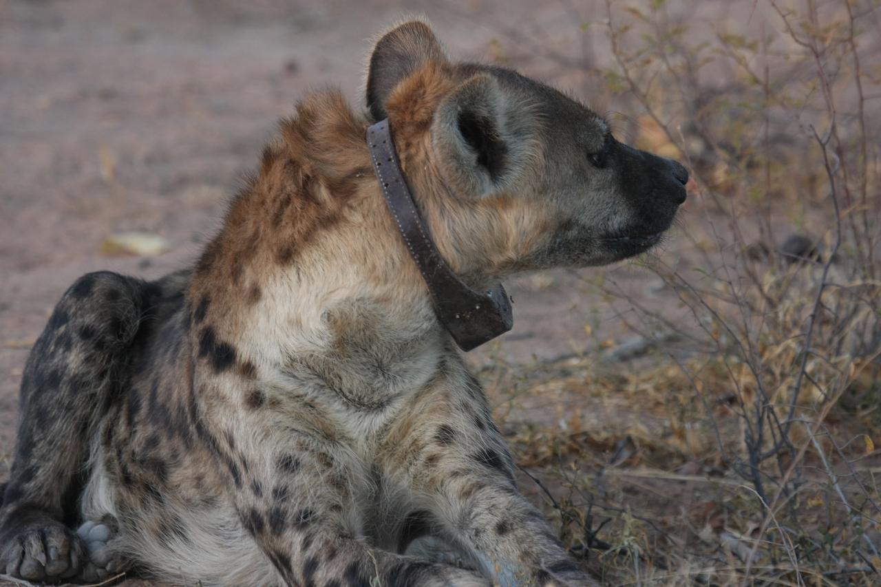 [3471] 2016_06_22_12_10_06_Africa_Canon_EOS_40D_IMG__08273.jpg