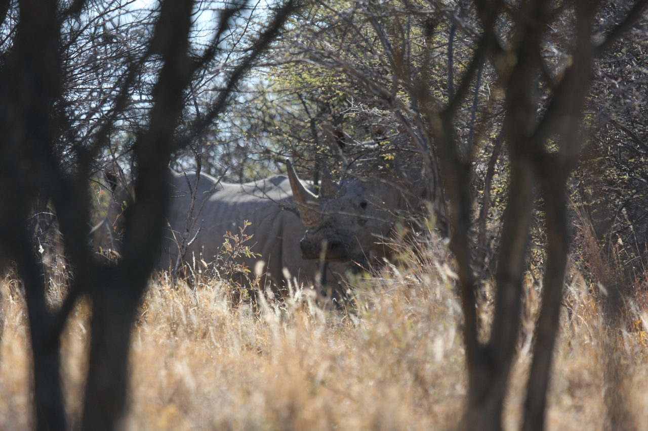 [4577] 2016_06_23_04_16_33_Africa_Canon_EOS_40D_IMG__00835.jpg