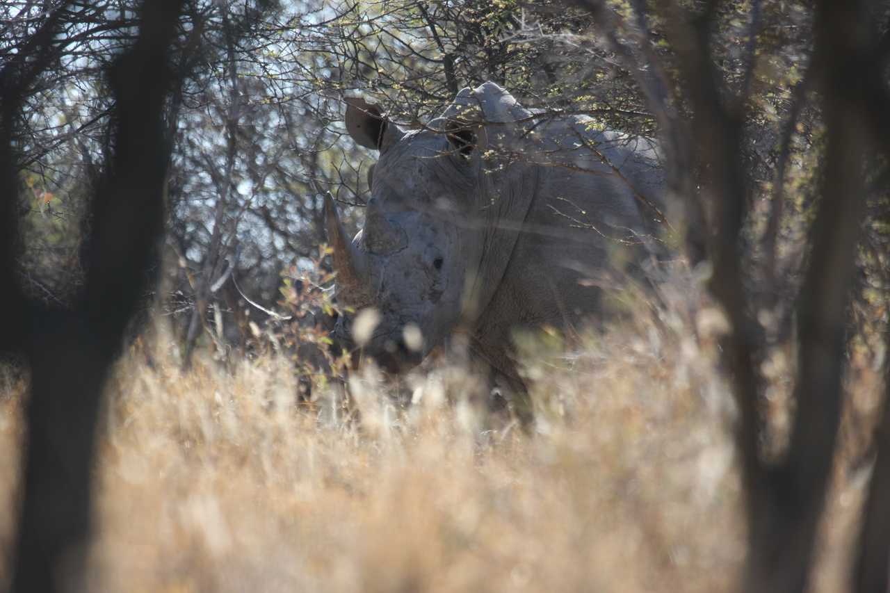 [4673] 2016_06_23_04_18_07_Africa_Canon_EOS_40D_IMG__00028.jpg
