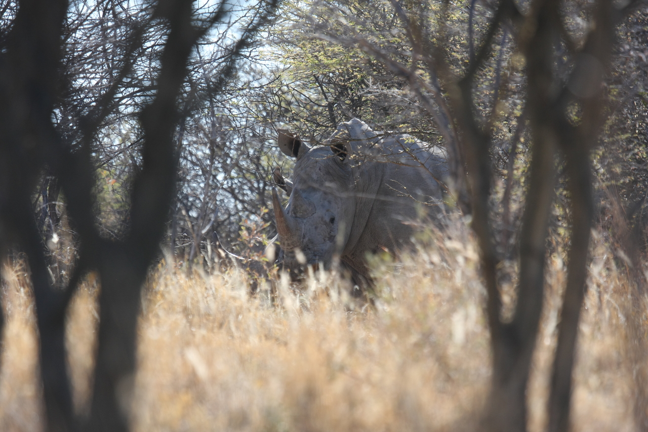 [4681] 2016_06_23_04_18_16_Africa_Canon_EOS_40D_IMG__00865.jpg