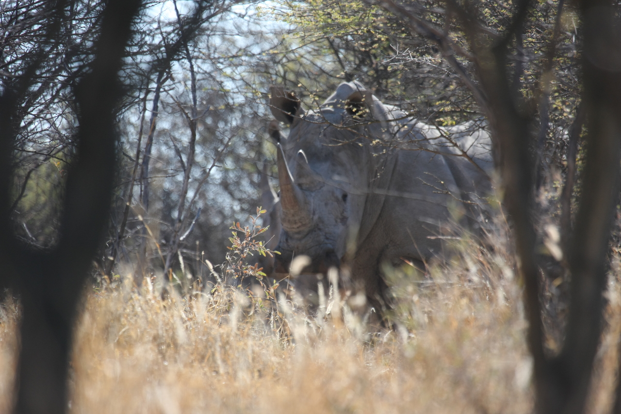 [4716] 2016_06_23_04_18_56_Africa_Canon_EOS_40D_IMG__00876.jpg