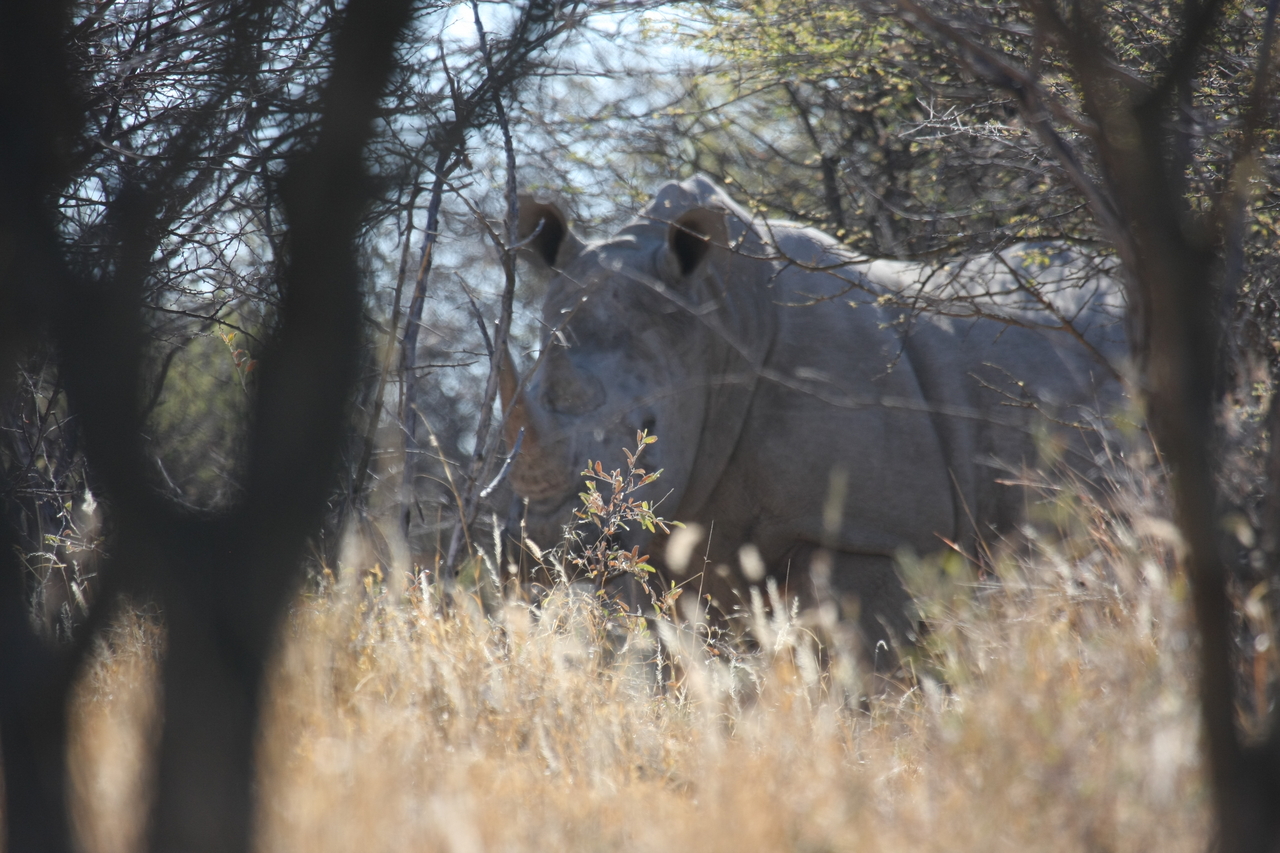 [4719] 2016_06_23_04_19_08_Africa_Canon_EOS_40D_IMG__00044.jpg