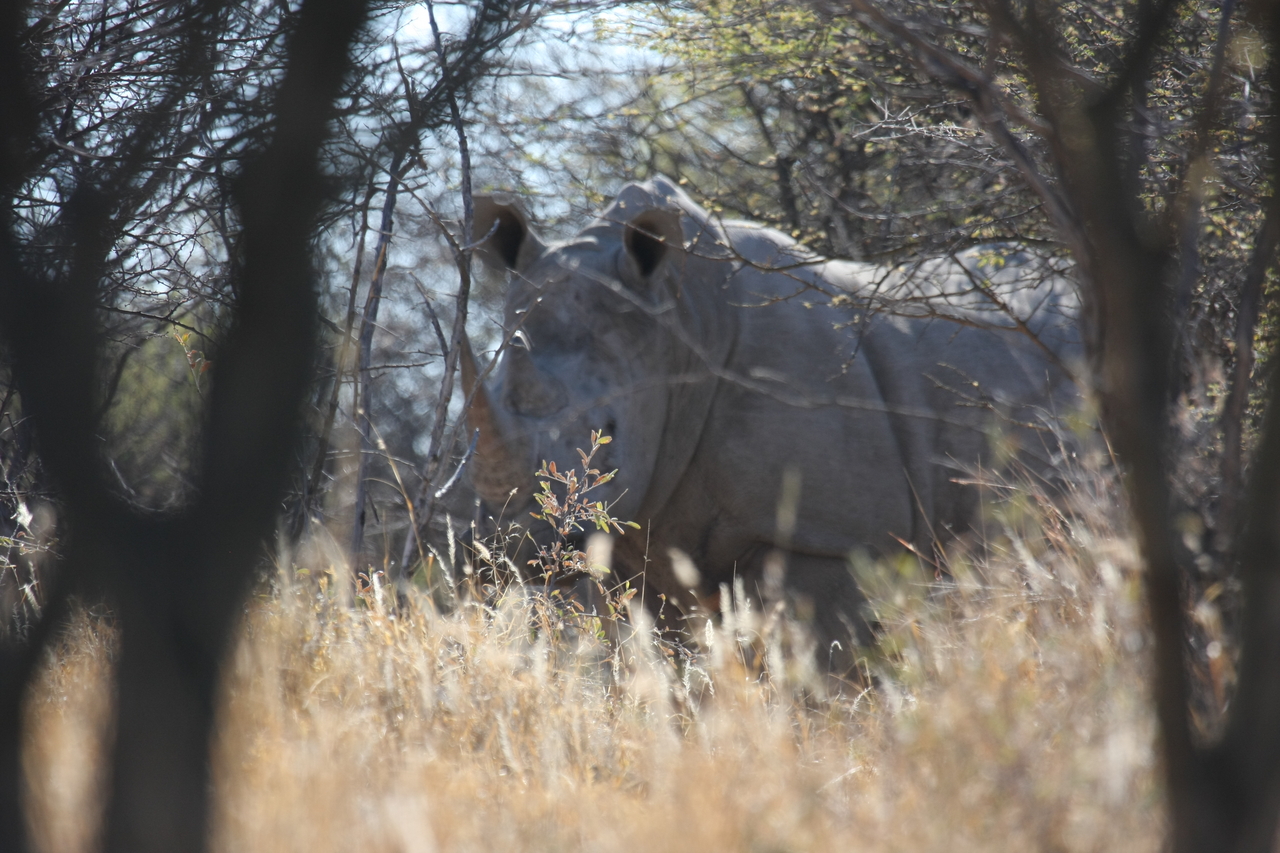 [4724] 2016_06_23_04_19_10_Africa_Canon_EOS_40D_IMG__00045.jpg
