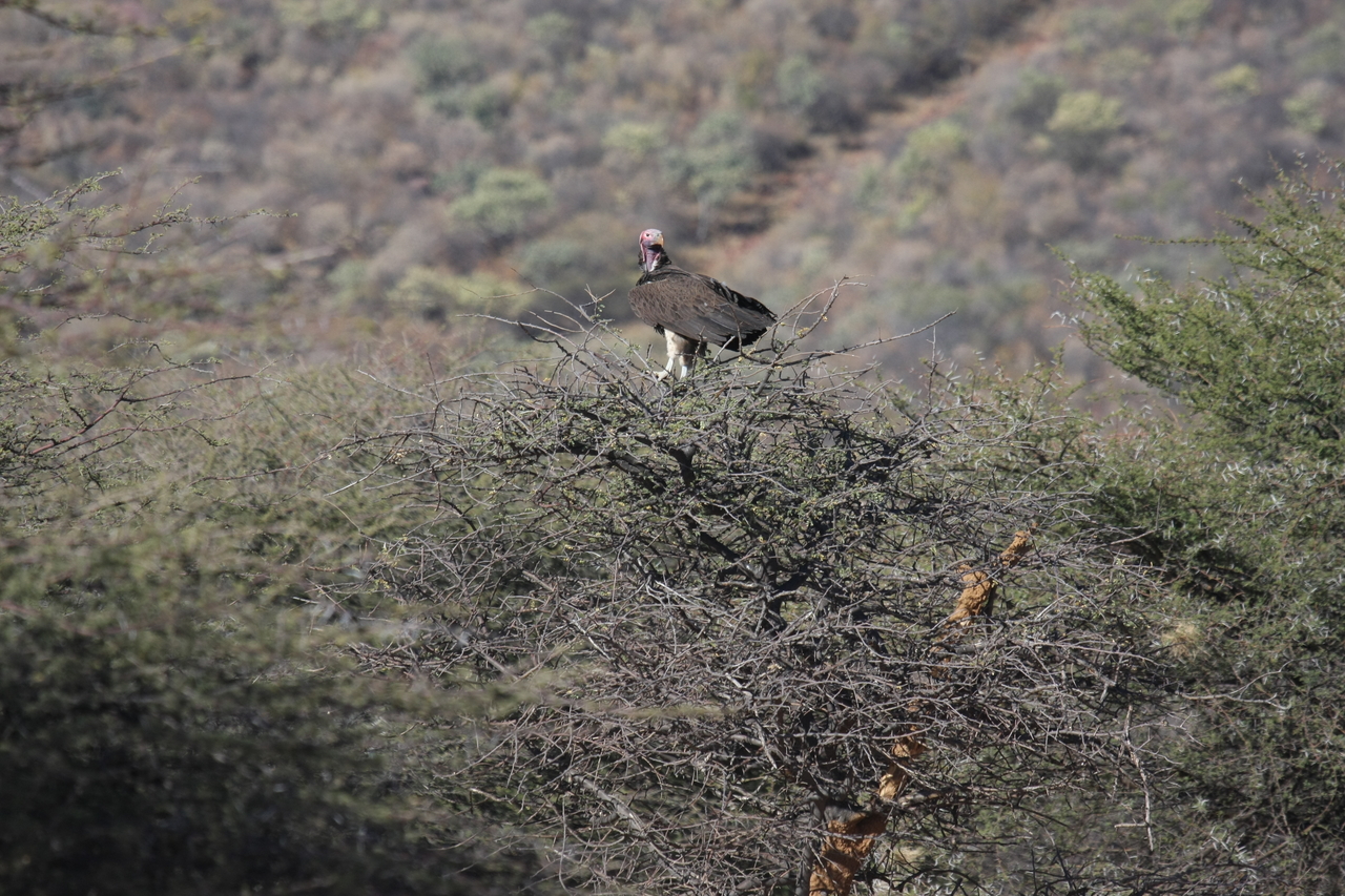 [5401] 2016_06_23_09_59_14_Africa_Canon_EOS_40D_IMG__00968.jpg