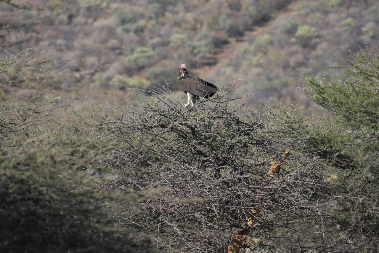 [5402] 2016_06_23_09_59_14_Africa_Canon_EOS_40D_IMG__00969.jpg