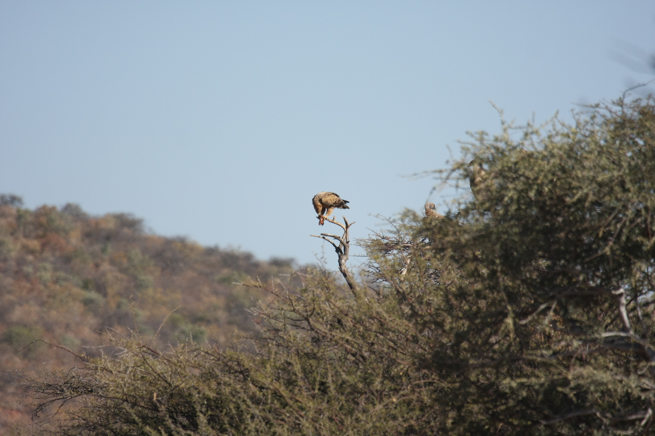 [5430] 2016_06_23_10_01_10_Africa_Canon_EOS_40D_IMG__08424.jpg