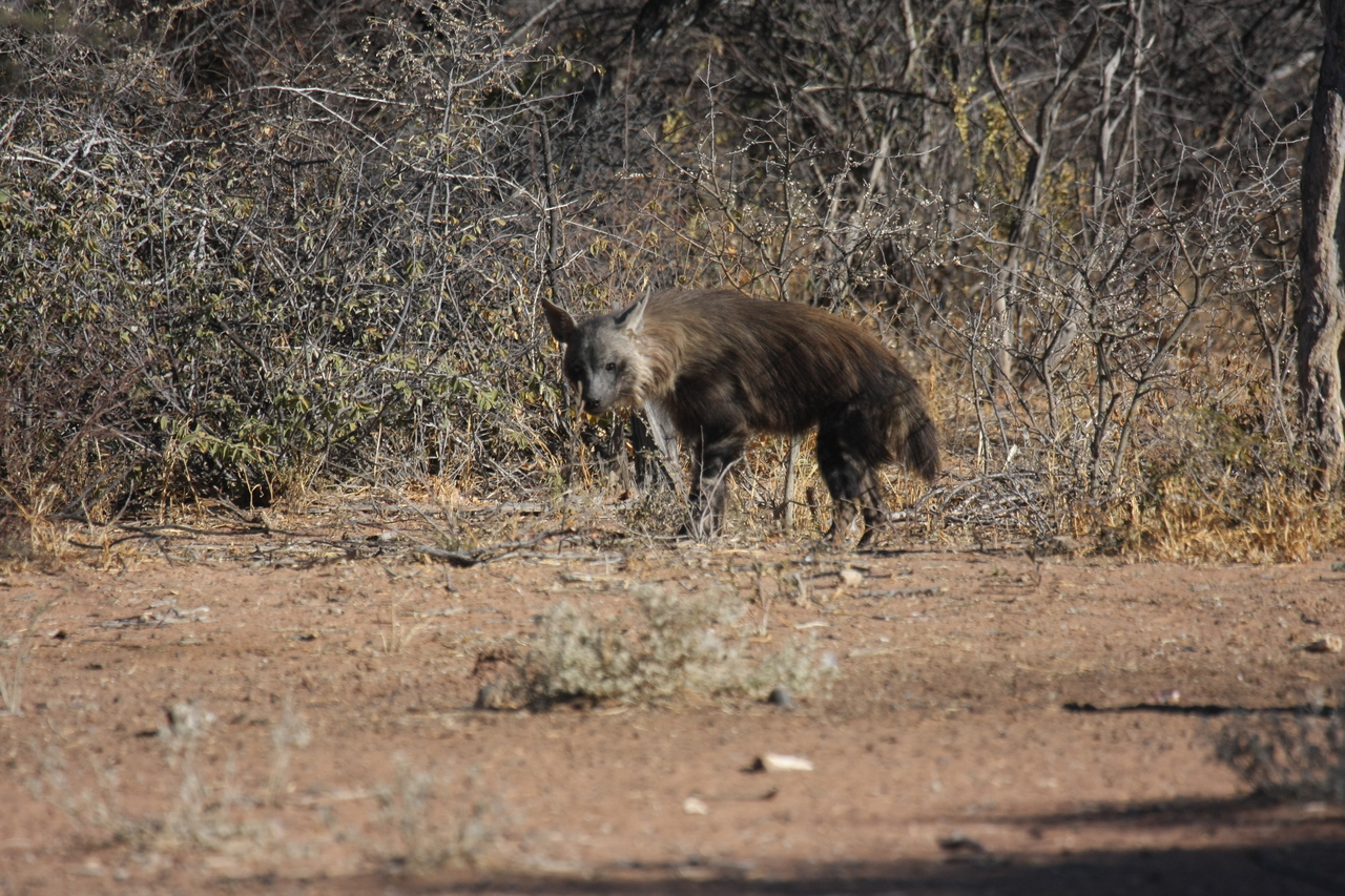 [5438] 2016_06_23_10_03_18_Africa_Canon_EOS_40D_IMG__00147.jpg