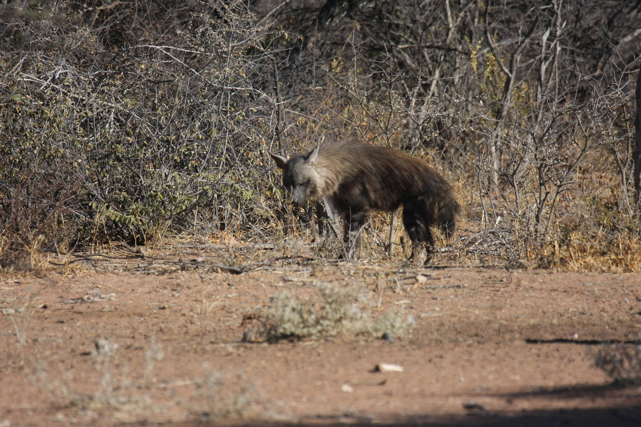 [5442] 2016_06_23_10_03_18_Africa_Canon_EOS_40D_IMG__00982.jpg