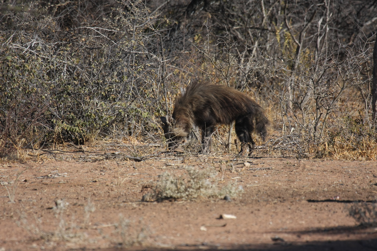 [5446] 2016_06_23_10_03_18_Africa_Canon_EOS_40D_IMG__08430.jpg