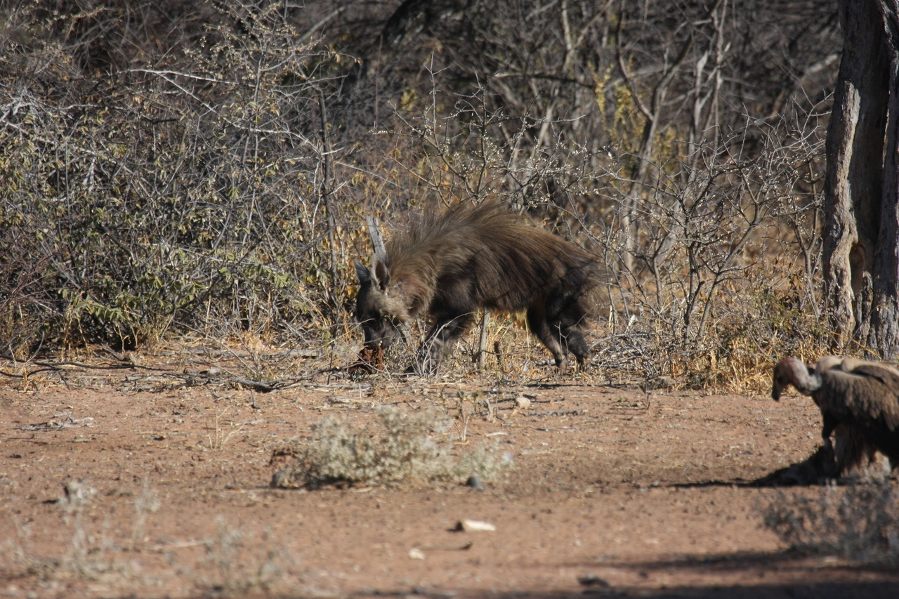 [5449] 2016_06_23_10_03_31_Africa_Canon_EOS_40D_IMG__00984.jpg