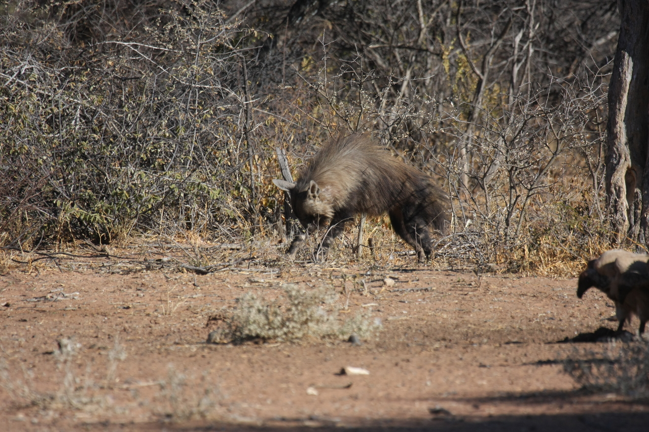 [5455] 2016_06_23_10_03_34_Africa_Canon_EOS_40D_IMG__08433.jpg