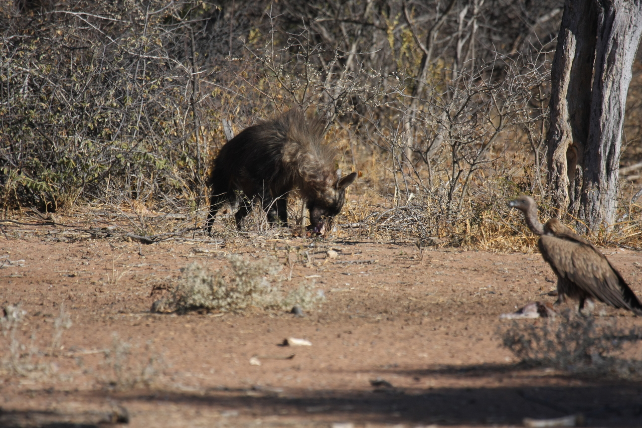 [5470] 2016_06_23_10_04_03_Africa_Canon_EOS_40D_IMG__00991.jpg