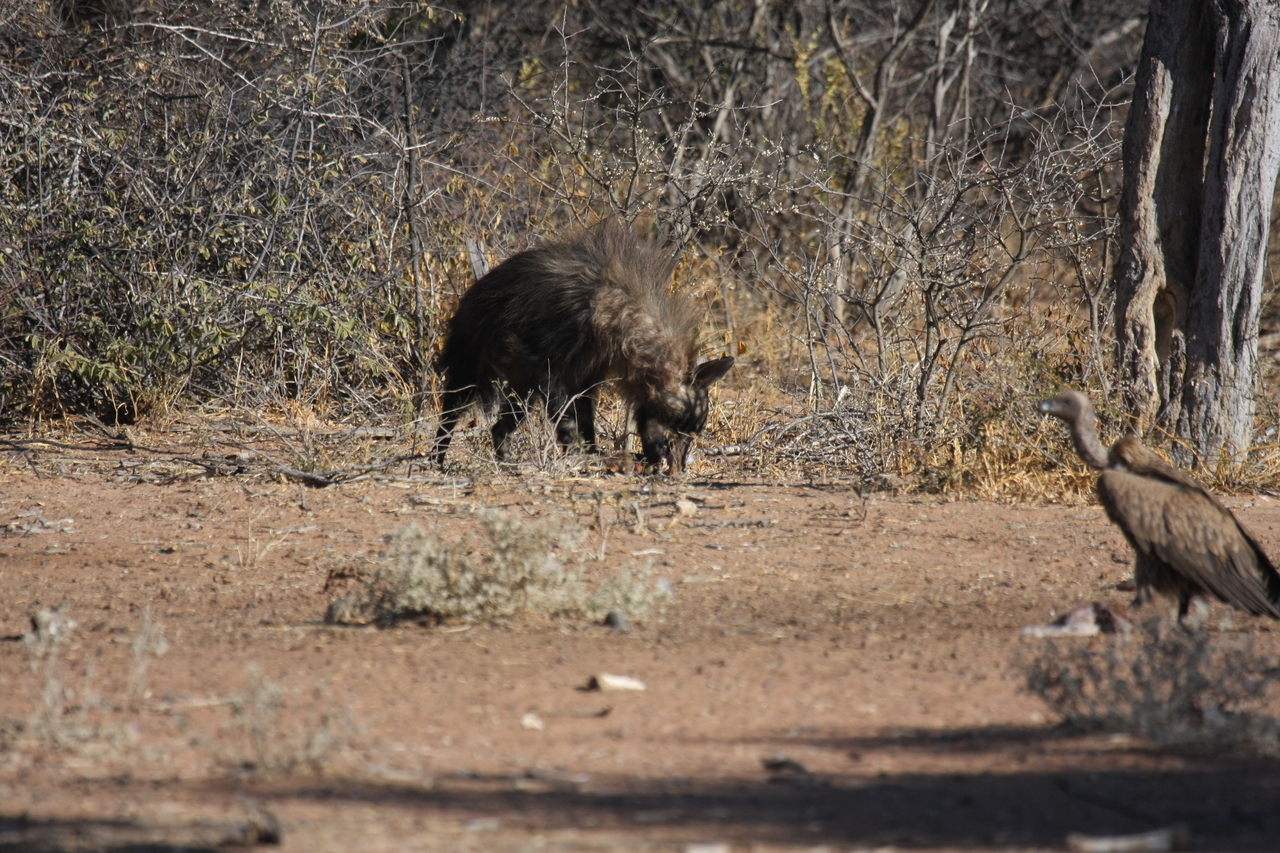 [5471] 2016_06_23_10_04_03_Africa_Canon_EOS_40D_IMG__00992.jpg