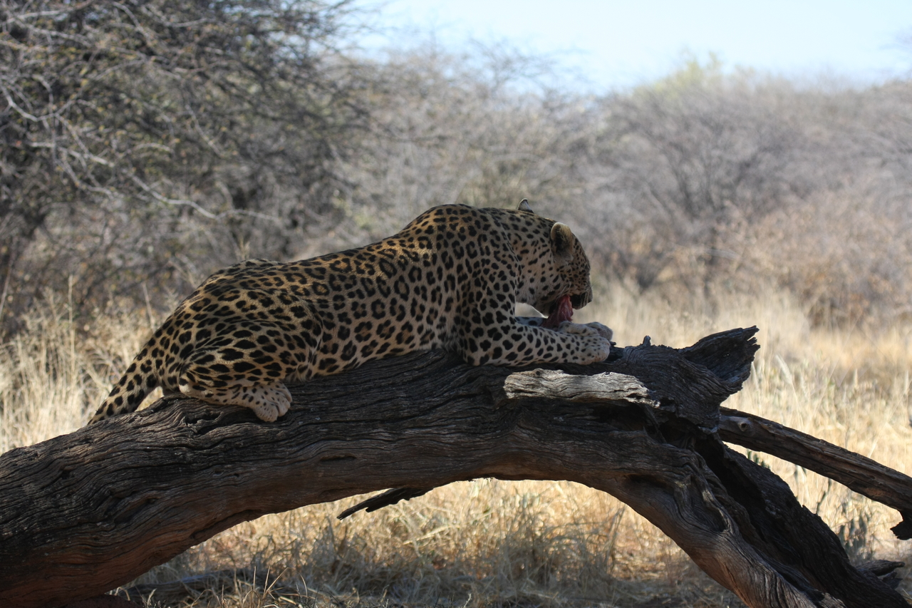 [5549] 2016_06_23_10_16_52_Africa_Canon_EOS_40D_IMG__01011.jpg